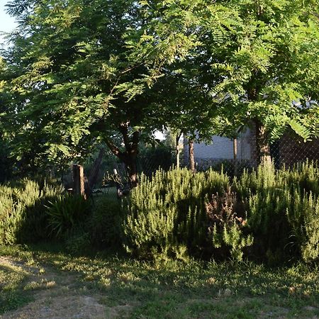 Villa Il Saragio Abbadia di Montepulciano Exterior foto