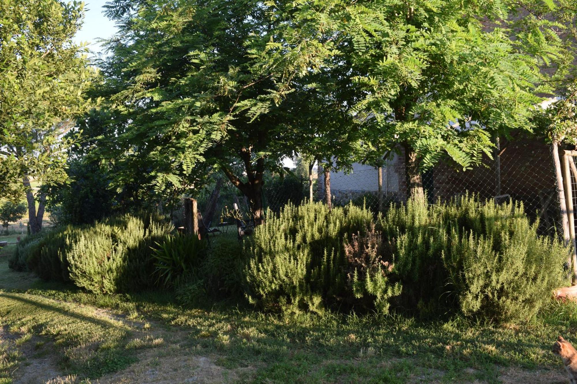 Villa Il Saragio Abbadia di Montepulciano Exterior foto