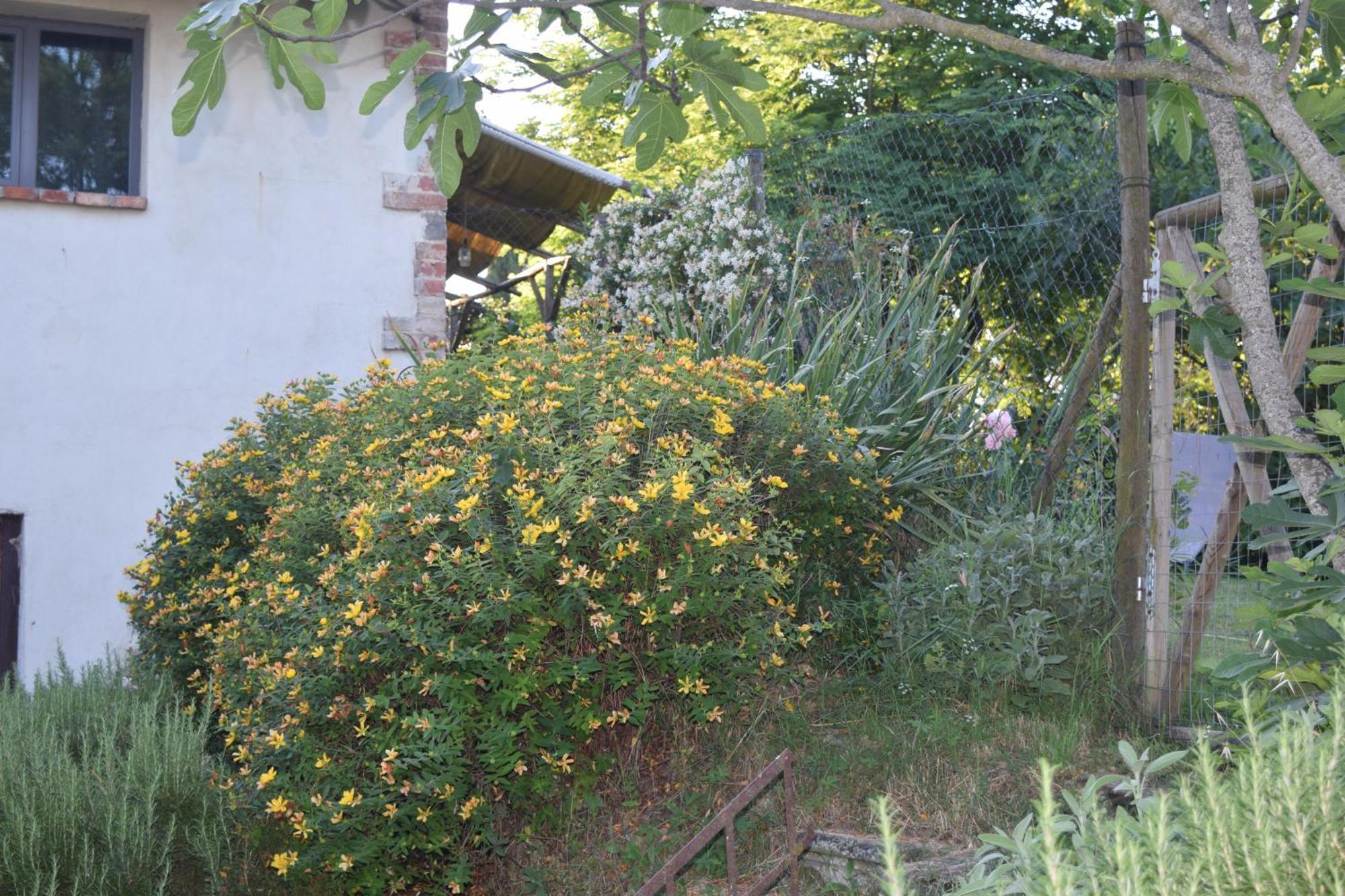 Villa Il Saragio Abbadia di Montepulciano Exterior foto